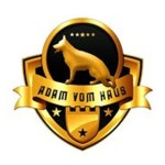 Stream Adam Vom Haus music | Listen to songs, albums, playlists for free on SoundCloud Adam Vom Haus