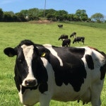 Stream Dave Seacy music | Listen to songs, albums, playlists for free on SoundCloud Dave Seacy