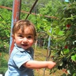 Stream Nino Mesxoradze music | Listen to songs, albums, playlists for free on SoundCloud Nino Mesxoradze