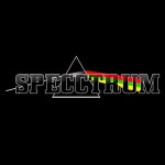 Stream Specctrum music | Listen to songs, albums, playlists for free on SoundCloud Specctrum