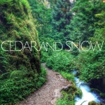Stream Cedar and Snow music | Listen to songs, albums, playlists for free on SoundCloud Cedar and Snow