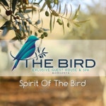 Stream the bird marrakech music | Listen to songs, albums, playlists for free on SoundCloud the bird marrakech