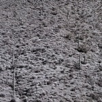 Stream Jeddddddddd music | Listen to songs, albums, playlists for free on SoundCloud Jeddddddddd