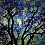 Stream Raphael Grojnowski music | Listen to songs, albums, playlists for free on SoundCloud Raphael Grojnowski