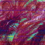 Stream Not A Dweeb music | Listen to songs, albums, playlists for free on SoundCloud Not A Dweeb