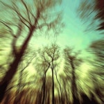 Bronta ॐ | Free Listening on SoundCloud Bronta ॐ