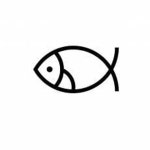 IKE no MEDAKA | Free Listening on SoundCloud IKE no MEDAKA