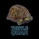 Quan | Free Listening on SoundCloud Quan