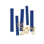 Stream Vie Zzaj music | Listen to songs, albums, playlists for free on SoundCloud Vie Zzaj