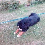 Stream Paul Schnabel music | Listen to songs, albums, playlists for free on SoundCloud Paul Schnabel