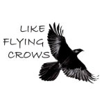 Like Flying Crows Label | Free Listening on SoundCloud Like Flying Crows Label