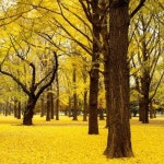 Stream user556266862 music | Listen to songs, albums, playlists for free on SoundCloud user556266862