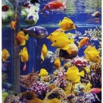 Stream user891461123 music | Listen to songs, albums, playlists for free on SoundCloud user891461123