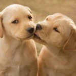 내가 음악했단 거 여러번 말함 실감이 안나나? - 기타음식 갤러리