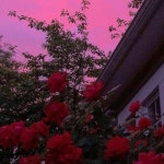 SIRJAKE9 | Free Listening on SoundCloud SIRJAKE9