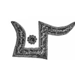 Capsule Network | Free Listening on SoundCloud Capsule Network