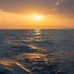 Stream Fantasma music | Listen to songs, albums, playlists for free on SoundCloud Fantasma