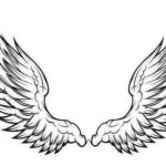 Sheref Adel 1 | Free Listening on SoundCloud Sheref Adel 1