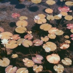 grunge by bbooskii outtakes | Free Listening on SoundCloud grunge