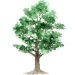 Stream Elletson music | Listen to songs, albums, playlists for free on SoundCloud Elletson