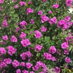 6447_k 1 | Free Listening on SoundCloud 6447_k 1