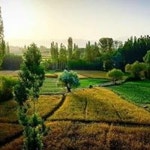 چي ياديږي خوشحال خيل | Free Listening on SoundCloud چي ياديږي خوشحال خيل