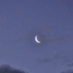 금하 | 하 금 | Free Listening on SoundCloud 금하