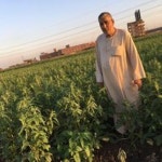 Stream samey music | Listen to songs, albums, playlists for free on SoundCloud samey