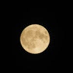 Stream Archet mode music | Listen to songs, albums, playlists for free on SoundCloud Archet mode