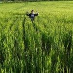 Stream حسين شرارة music | Listen to songs, albums, playlists for free on SoundCloud حسين شرارة