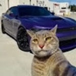 Stream Zivg? music | Listen to songs, albums, playlists for free on SoundCloud Zivg?