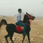 Stream Mohamed ragab music | Listen to songs, albums, playlists for free on SoundCloud Mohamed ragab