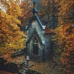 Stream Mishu music | Listen to songs, albums, playlists for free on SoundCloud Mishu