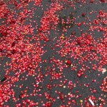 Stream Joe Marchbank music | Listen to songs, albums, playlists for free on SoundCloud Joe Marchbank