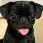 Stream User 432743623 music | Listen to songs, albums, playlists for free on SoundCloud User 432743623