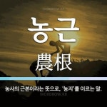 Stream 농근 music | Listen to songs, albums, playlists for free on SoundCloud 농근