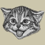 Stream 신촌길냥이 Music Factory music | Listen to songs, albums, playlists for free on SoundCloud 신촌길냥이 Music Factory