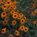 Stream 은나와라뚝딱 music | Listen to songs, albums, playlists for free on SoundCloud 은나와라뚝딱