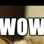 Stream wwooww music | Listen to songs, albums, playlists for free on SoundCloud wwooww