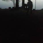 Stream Lil Malignant Brain Tumor music | Listen to songs, albums, playlists for free on SoundCloud Lil Malignant Brain Tumor