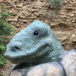 Stream Anchovy music | Listen to songs, albums, playlists for free on SoundCloud Anchovy