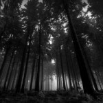 Lulax.T.Maseblock | Lulax T Maseblock | Free Listening on SoundCloud Lulax.T.Maseblock