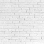Stream petttluc music | Listen to songs, albums, playlists for free on SoundCloud petttluc
