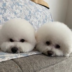 Stream 봉이 music | Listen to songs, albums, playlists for free on SoundCloud 봉이