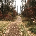 field | Free Listening on SoundCloud field