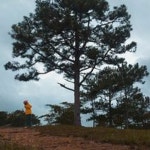 Stream Scoutt Xu Xi music | Listen to songs, albums, playlists for free on SoundCloud Scoutt Xu Xi