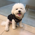 _Moon |  Moon | Free Listening on SoundCloud _Moon