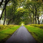 Stream Healing Human 😄 music | Listen to songs, albums, playlists for free on SoundCloud Healing Human 😄