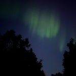 Stream LF music | Listen to songs, albums, playlists for free on SoundCloud LF