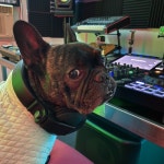 Stream Sets With Sash music | Listen to songs, albums, playlists for free on SoundCloud Sets With Sash